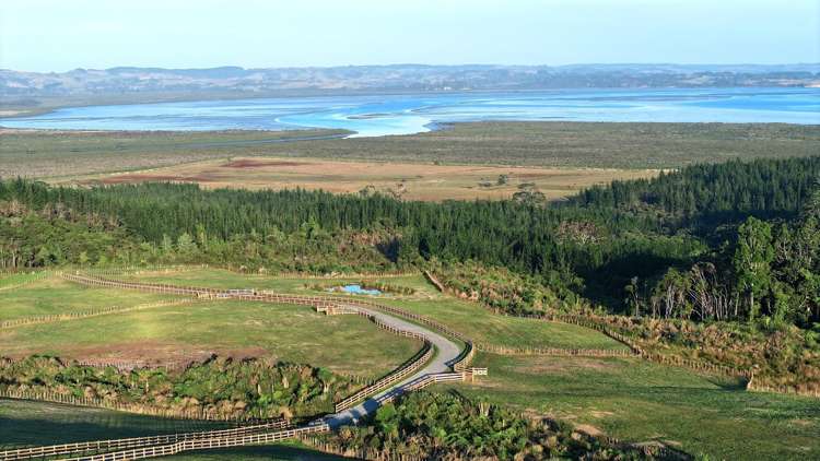 Parua Bay Drive Kaukapakapa_9