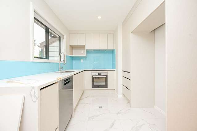 60 Albert Street Otahuhu East_3