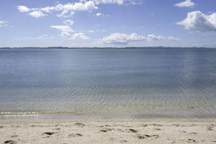 20b Oakwood Grove Eastern Beach_37