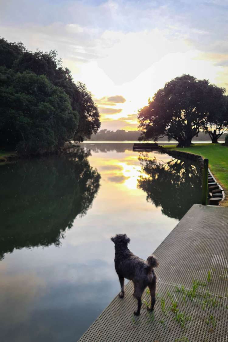 25 Pohutukawa Drive Athenree_29