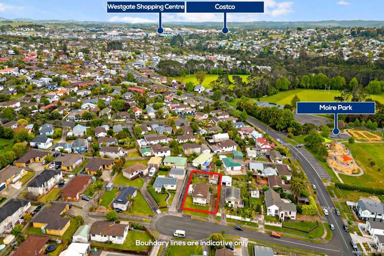 5 Patrice Place Massey_5