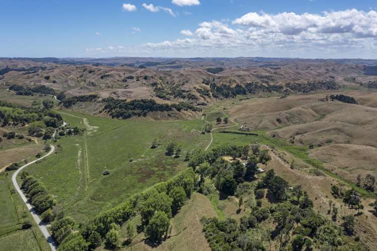 475 Te Akau South Road Te Akau_9