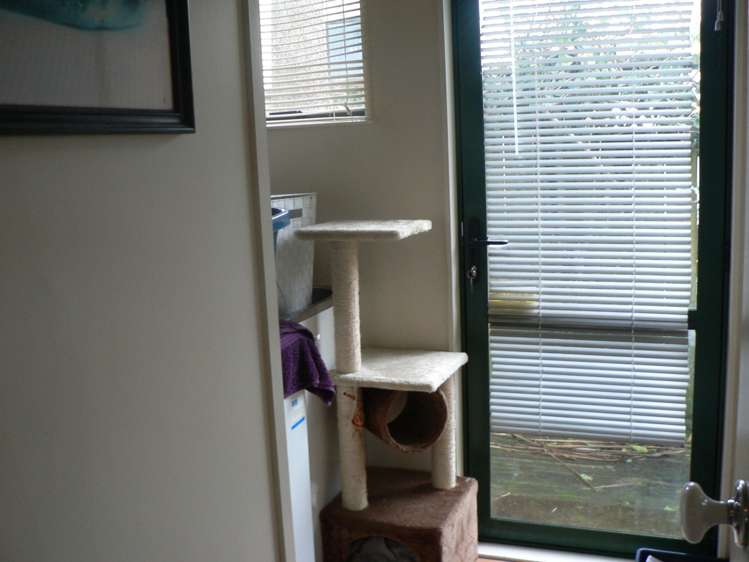 15a Princes Street Pukekohe_6