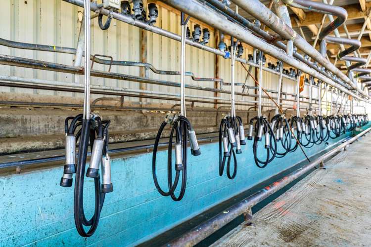 780 Te Maire Road Te Kopuru_7