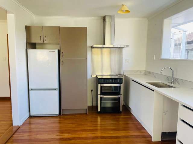 3 Marion Avenue Mount Roskill_4