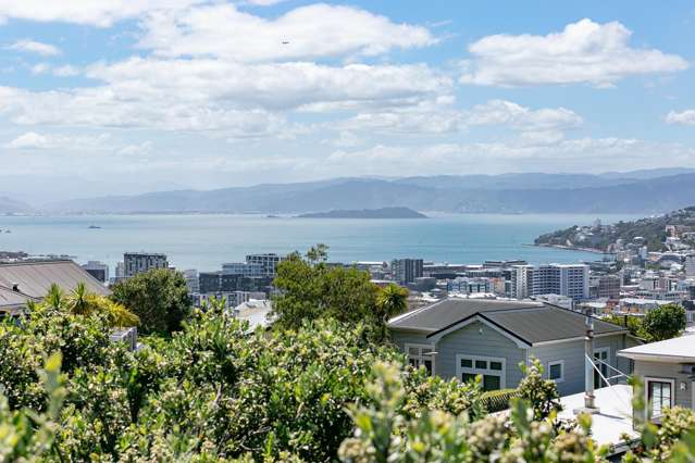 44 Mortimer Terrace Aro Valley_3