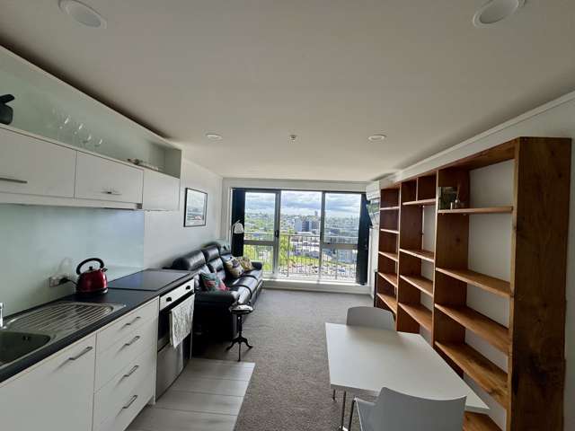 53 Cook Street Auckland City_4