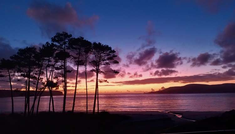 270 Hokianga Harbour Drive Omapere_31