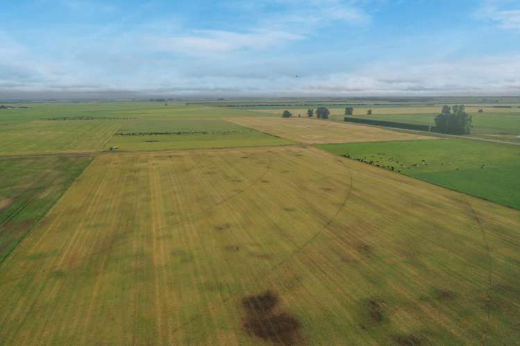 Burnham Road Temuka_6