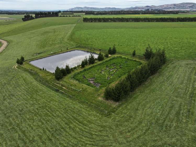 195 Dunn and Cody Road Riversdale_6