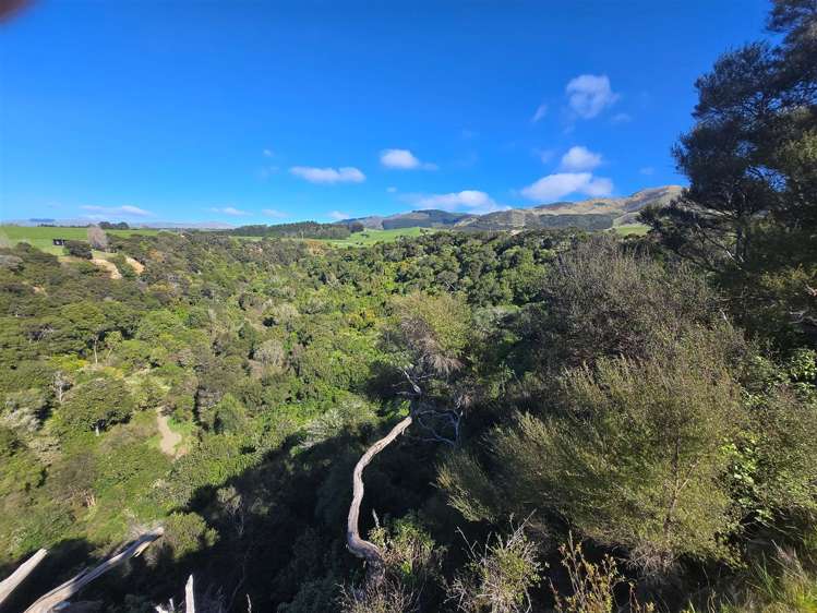 13/600 Conway Flat Road Cheviot_10