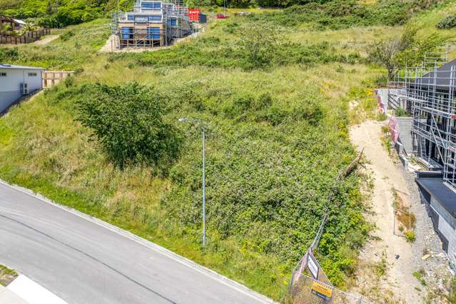 81 Kotare Street Waikanae_3