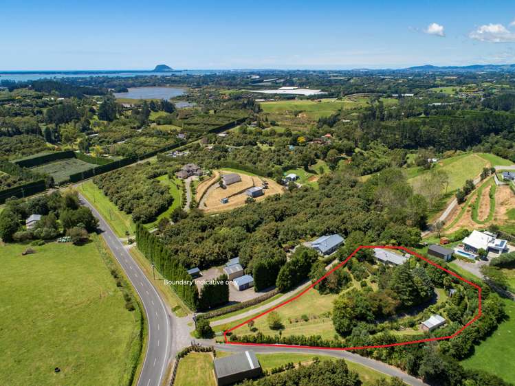 29 Whakamarama Road Whakamarama_28