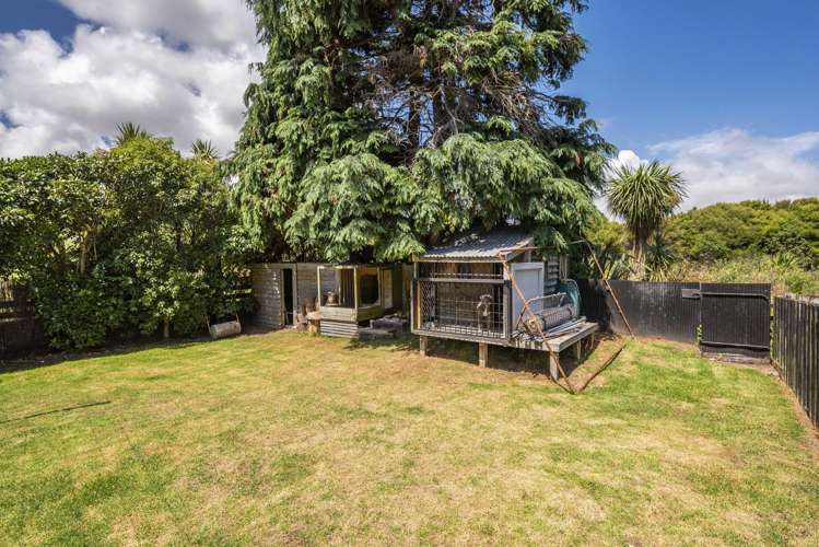 64 Poplar Avenue Raumati South_20