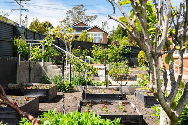 16 Farquharson Street Opoho_26