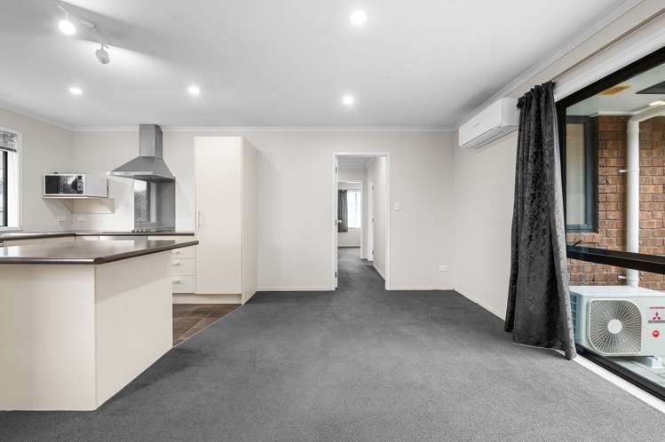 9/20 Greensboro Street Hamilton East_5