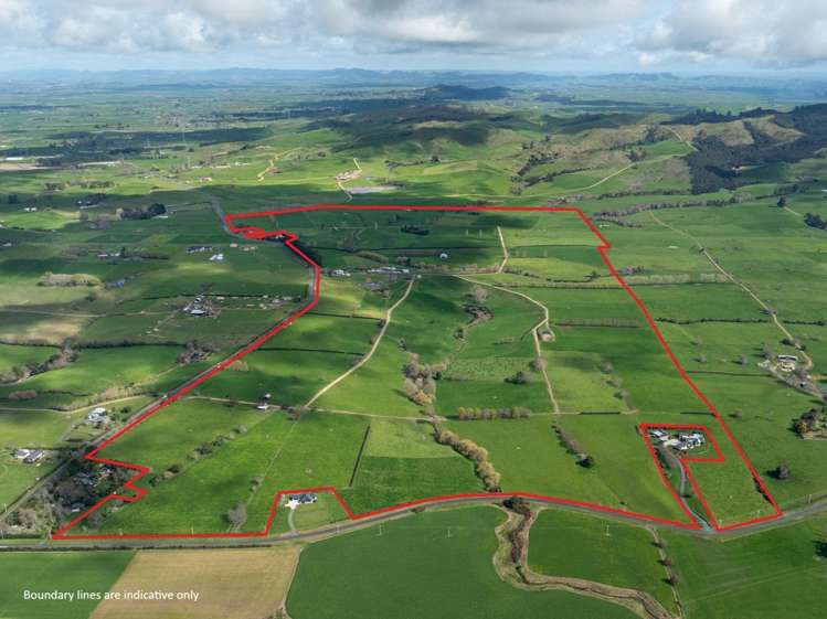 180 Cameron Road Morrinsville_25