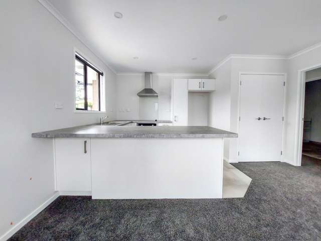 117A Great South Road 11337_4