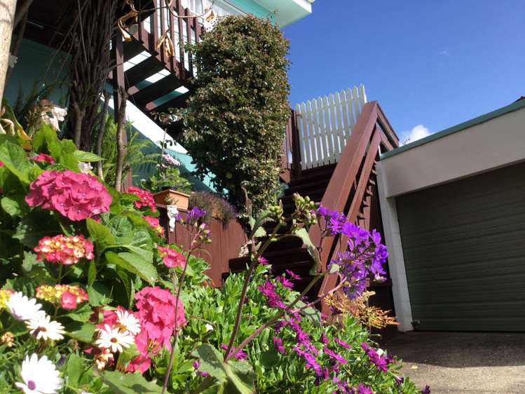 104 Hays Place Thames_1