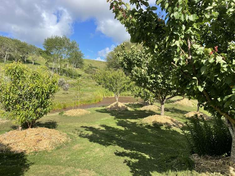 852 Oneriri Road Kaiwaka_62