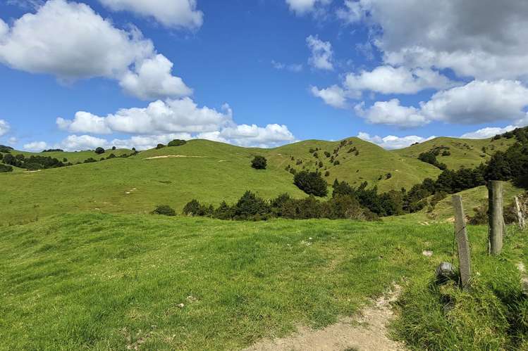 632 Marlow Road Maromaku_20