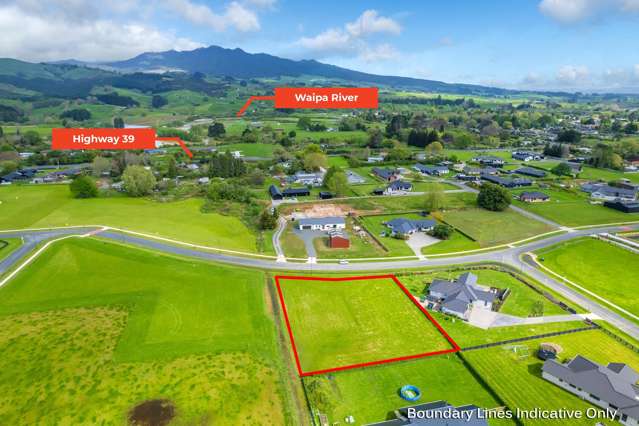 895 Collinson Street Pirongia_2