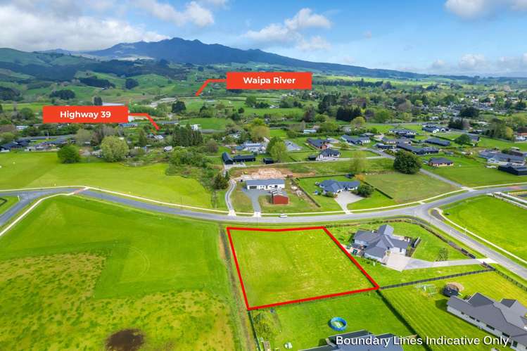 895 Collinson Street Pirongia_2