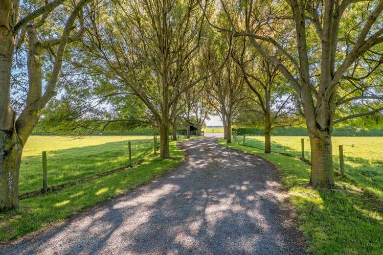 238 Beach Road East Elgin_16