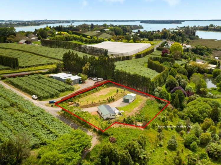 178 Plummers Point Road Whakamarama_13