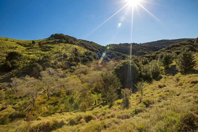 512 Orapiu Road Waiheke Island_2