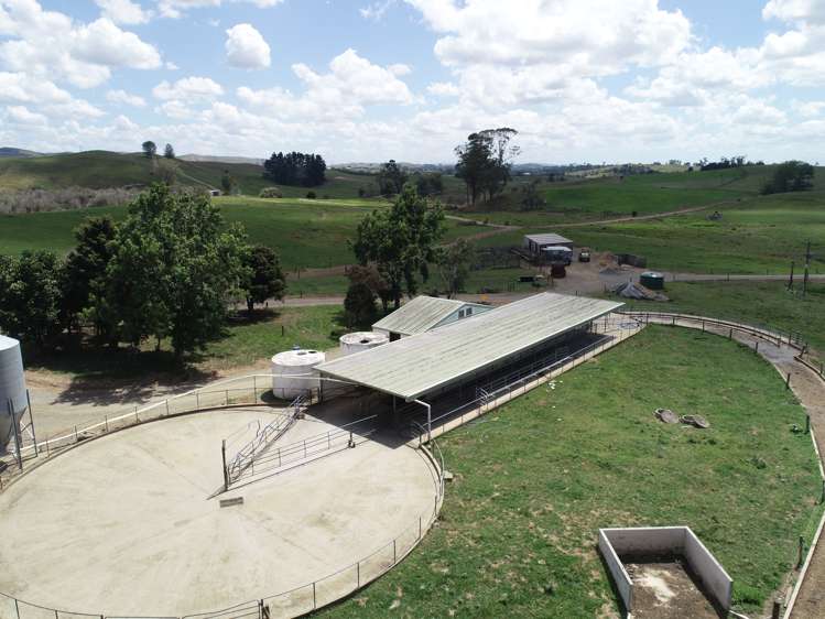 70c Manion Lane Morrinsville_7