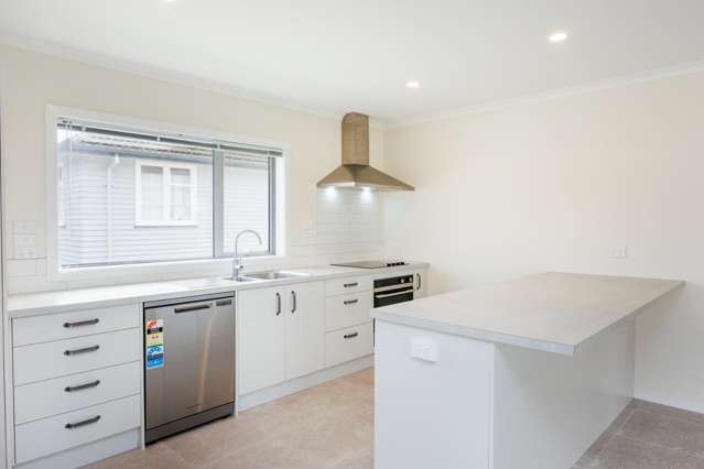 140 Rugby Street Awapuni_1