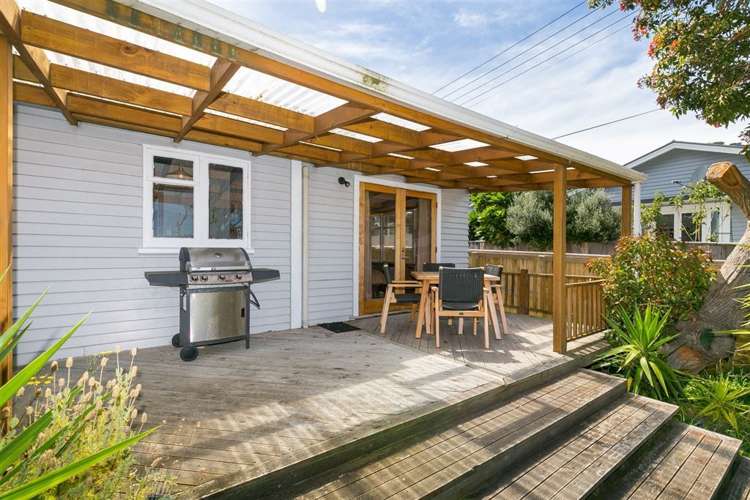 46a Camperdown Road Miramar_18