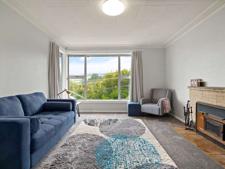 446 Pine Hill Road Pine Hill_3