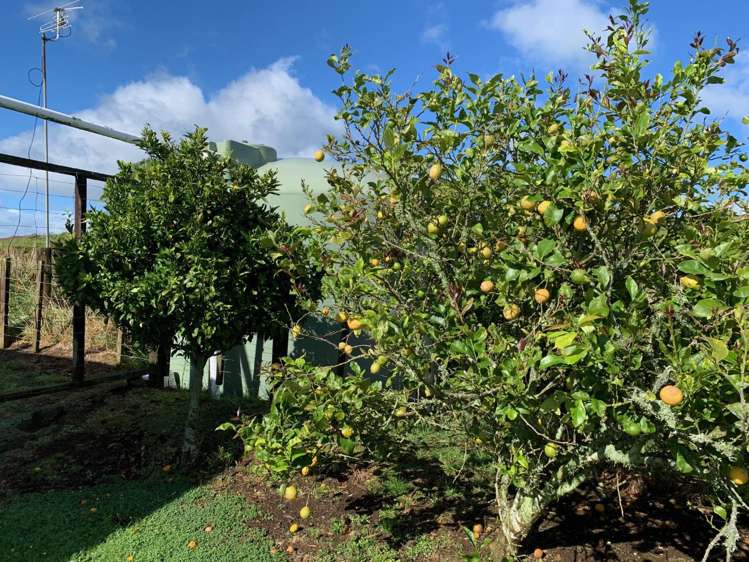 232 Suffolk Road Inglewood_18