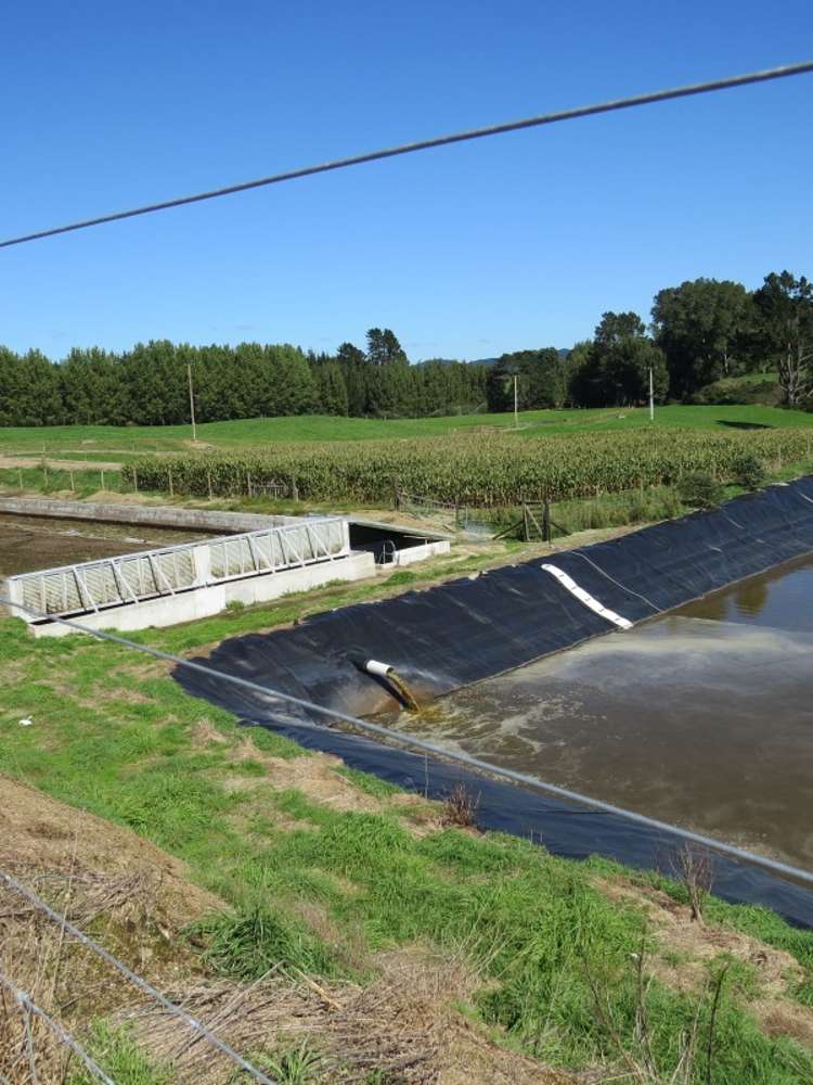 6261 State Highway 1 Kinleith_7