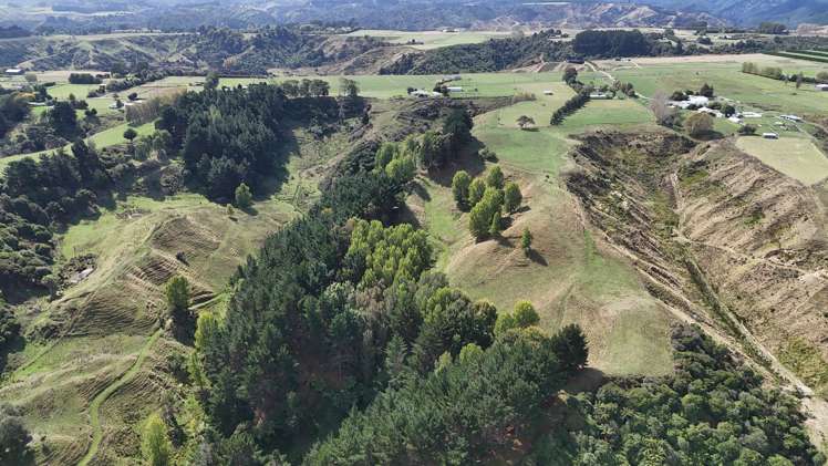 169 Campbell Road Brunswick_37