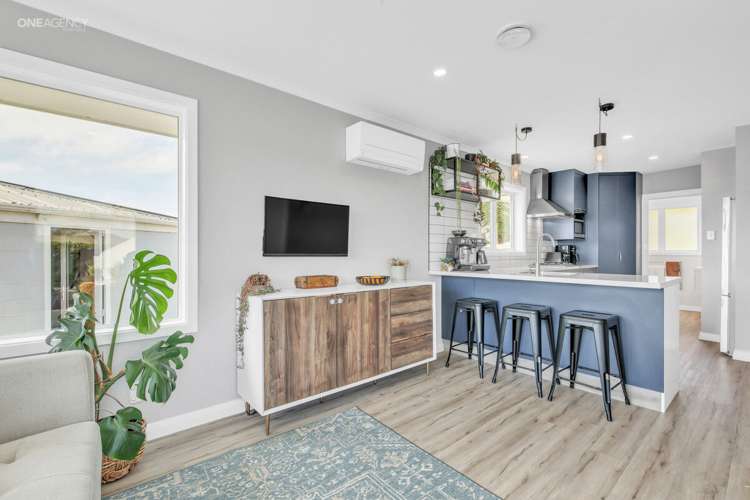 17 Newport Street Avondale_5