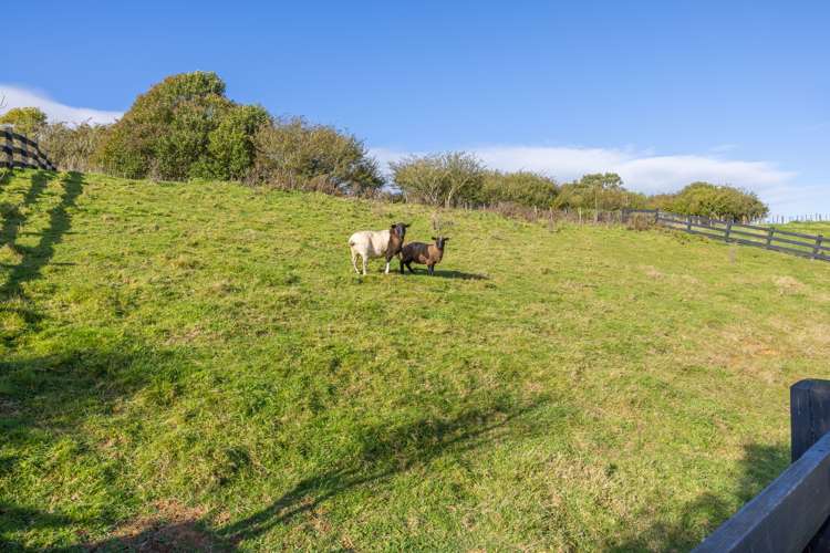 36a Awatea Road Whatawhata_27