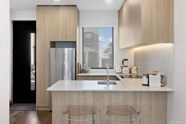 31 Hadlow Terrace Grey Lynn_1