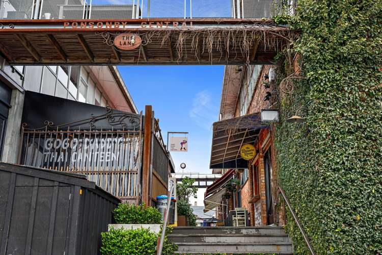 15a Rose Road Grey Lynn_21