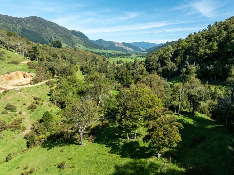 537 Ronga Road Rai Valley_13