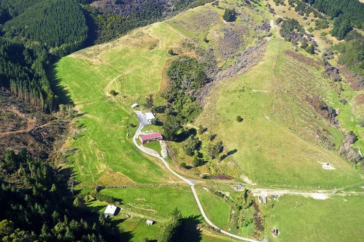 73 Fegan Road Milton_19