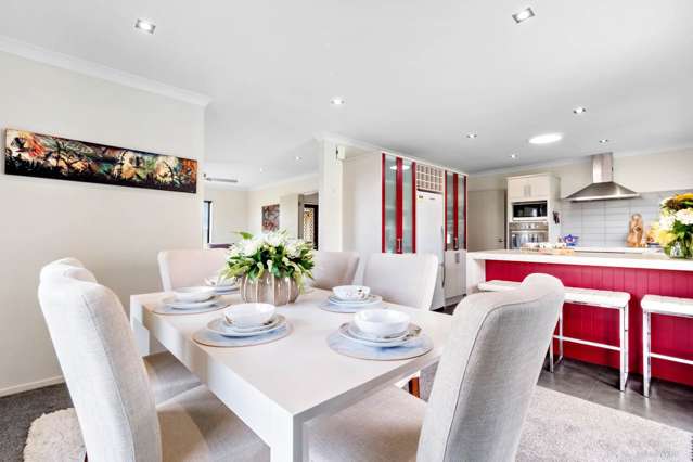 12 Ludlow Place Pukekohe_1