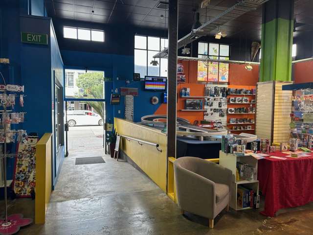 105 Dickens Street Napier Cbd_2