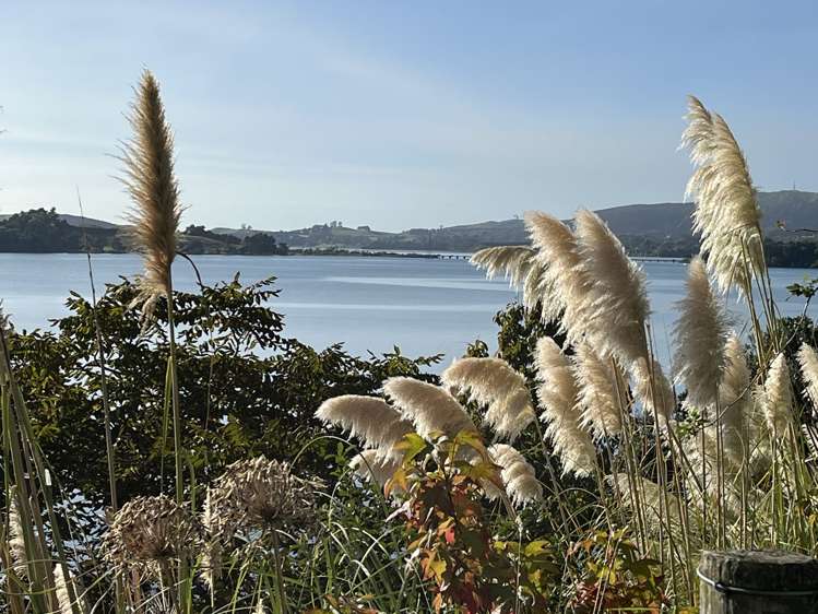 1 Eleventh Avenue Tauranga Central_10