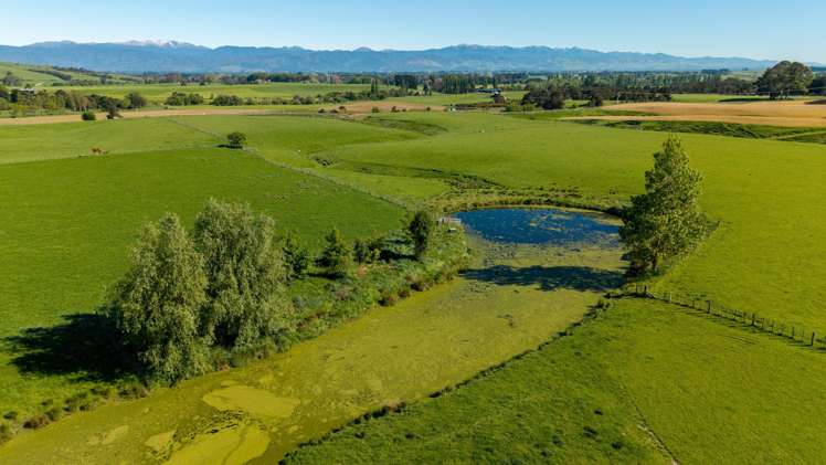 1572 Ponatahi Road Carterton_7
