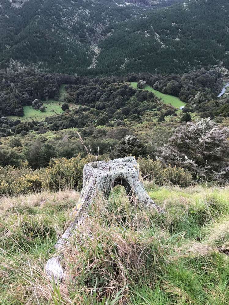 297a Wilson Road Wellsford_7