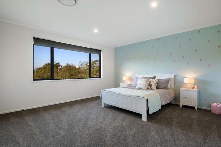 253 Horseshoe Bush Road Dairy Flat_20