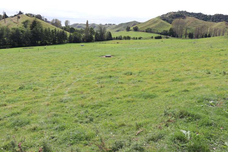 292 Gordon Road Toko_29